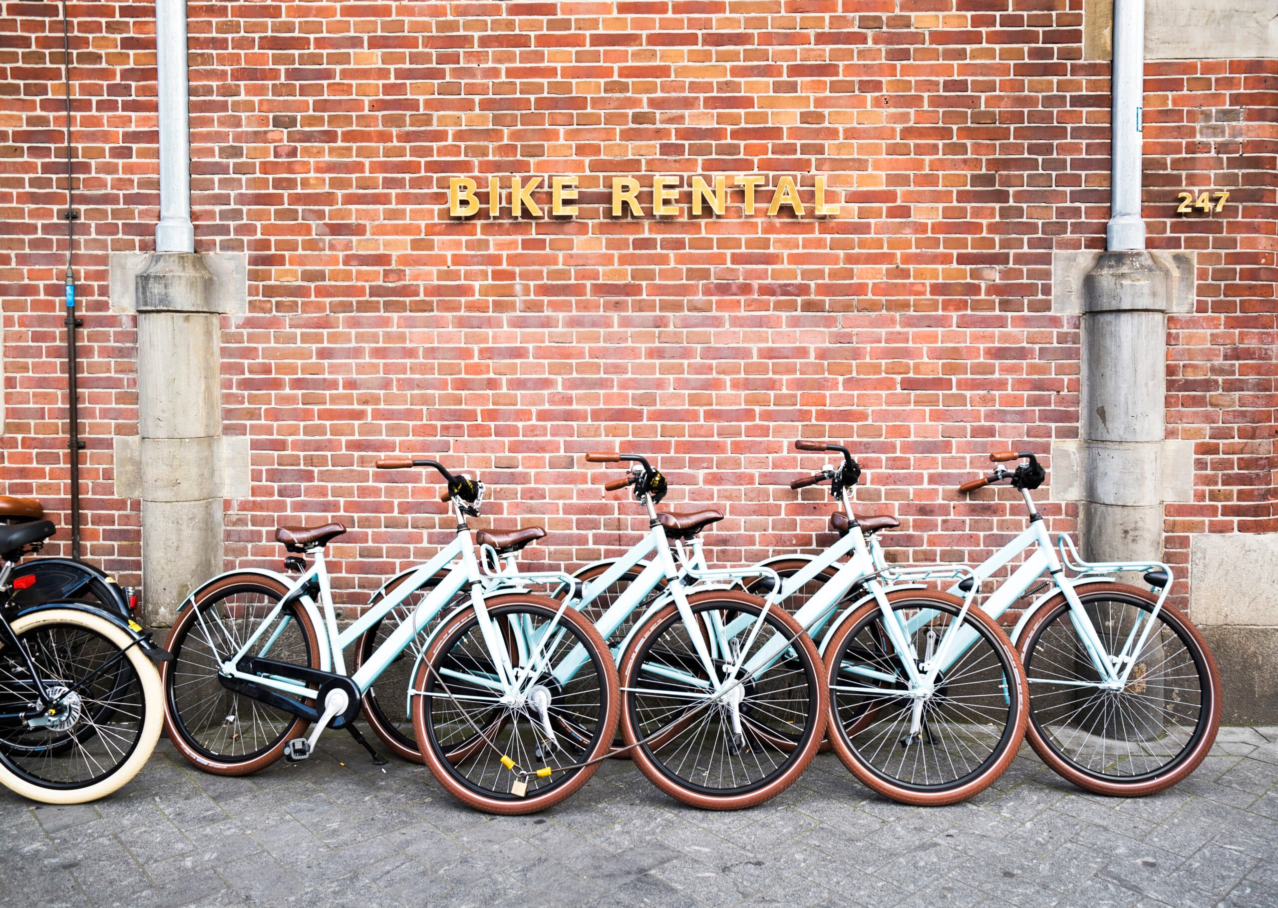 Bike Rental